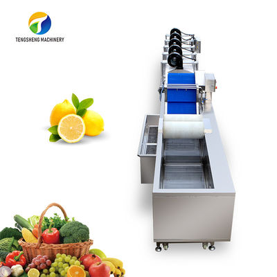 Customized Driven Pesticide Exclude Vegetable Processing Line , Centrifuging Tomato Processing Line