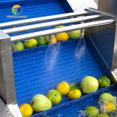 Customized Driven Pesticide Exclude Vegetable Processing Line , Centrifuging Tomato Processing Line