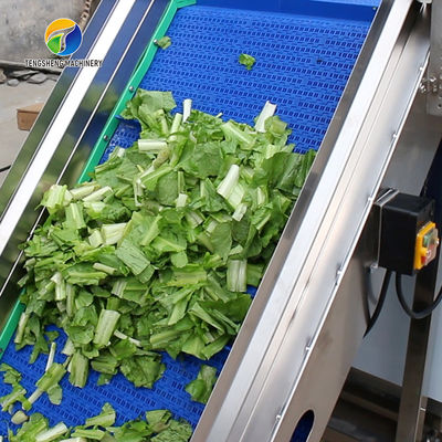 1.5 Tons / Hour Fruit And Vegetable Processing Line Root Brush Washing