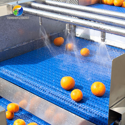 Passion Fruit Bubble Cleaning And Drying Sorting Production Line
