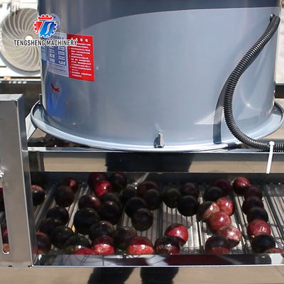Fruit and vegetable brush bubblecleaning and drying production line