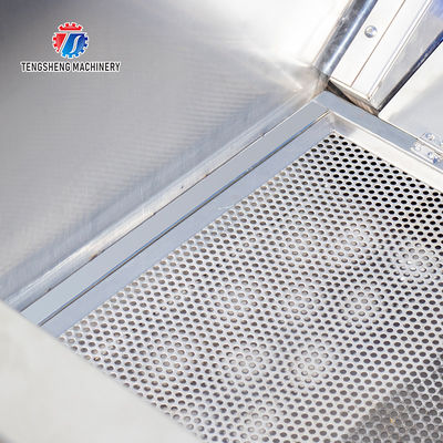 Fruit and vegetable brush bubblecleaning and drying production line