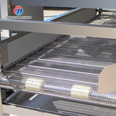 Fruit and vegetable brush bubblecleaning and drying production line