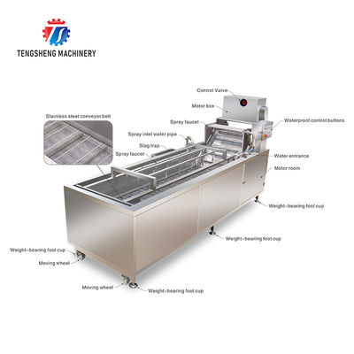240KG Fruit Bubble High Pressure Spray Washing Machine 1500KG/H Multifunction