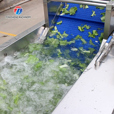 165MM Belt Industrial Vegetable Processing Machine Fruit Selection Washing Cutting Machine