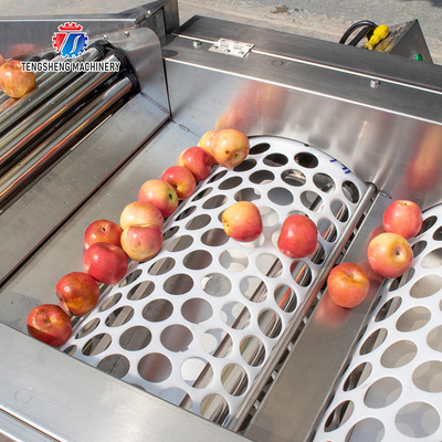 3KW 50HZ Fruit And Vegetable Processing Line Washing Sorting Machine