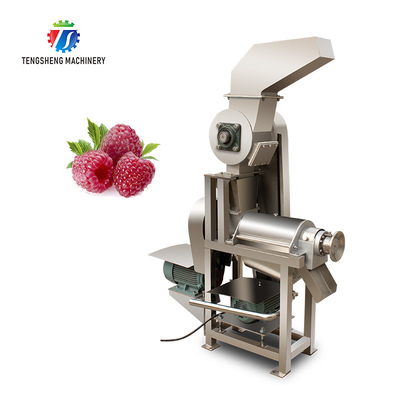 Commercial Fruit And Vegetable Juicer Screw Single Screw Juicer