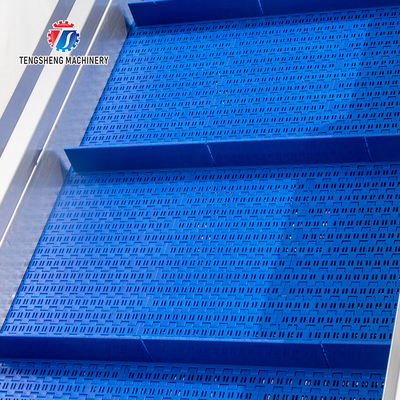 SS Fruit Vegetable Washing Machine Pre - Foaming Lifting Hair Roller Cleaning Production Line