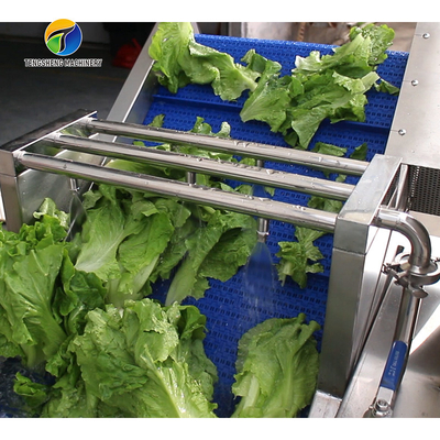 Ozonation Hyperbaric Spraying Fruit And Vegetable Washing Machine SS