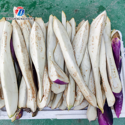 Industrial Automatic Eggplant Cabbage Fruit and Vegetable Splitting Machine
