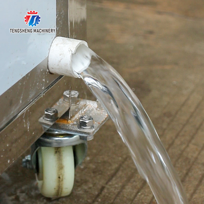 85kg Small air bubble ozone cleaning machine small automatic vegetable washing machine slag separator bar