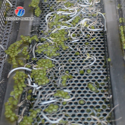 85KG Small commercial bubble cleaning machine single cylinder cleaning fruit and vegetable processing bubble washing