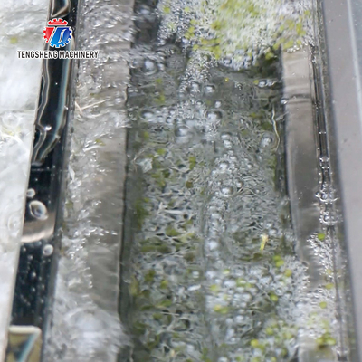 Industrial Single Bubble Fruit And Vegetable Washing Machine 300KG/H