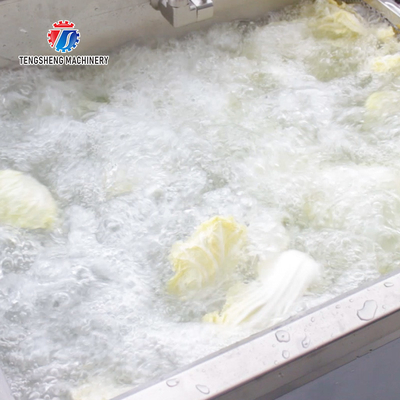 Industrial Single Bubble Fruit And Vegetable Washing Machine 300KG/H