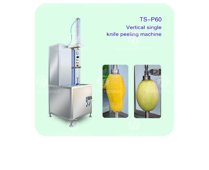 1.0KW 90KG Vertical single knife peeling machine pumpkin wax gourd