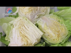 58kg Vegetable Slicing Machine Stainless Steel Pure Pneumatic