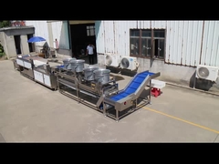 Take Your Fruit And Vegetable Processing Line to the Next Level with TS-M100 Parallel Brush Machine